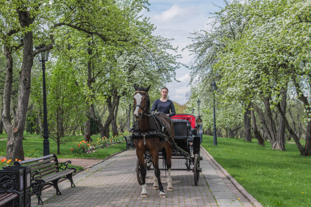 музей-заповедник Коломенское, благоустройство, фото sobyanin.ru