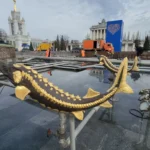 Фонтаны «Дружба народов» и «Каменный цветок» законсервировали до весны