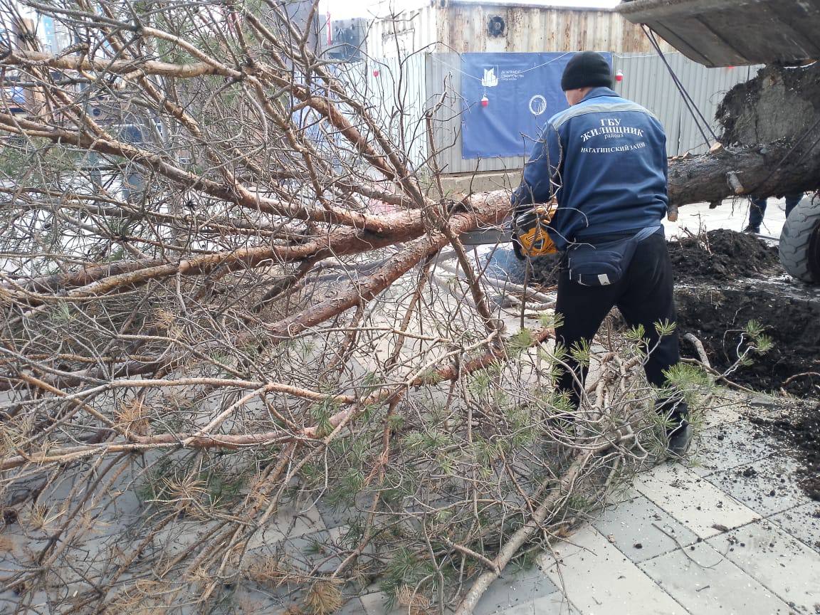 дерево, поваленное, упало, ветер, происшествия в Москве, фото КГХ