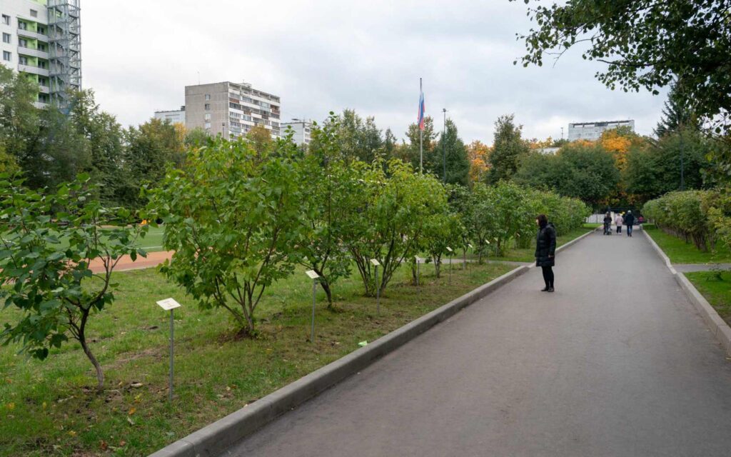 благоустройство, ЗАО, фото sobyanin.ru