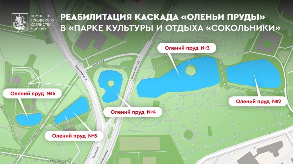 пруд, благоустройство, фото телеграм мэра