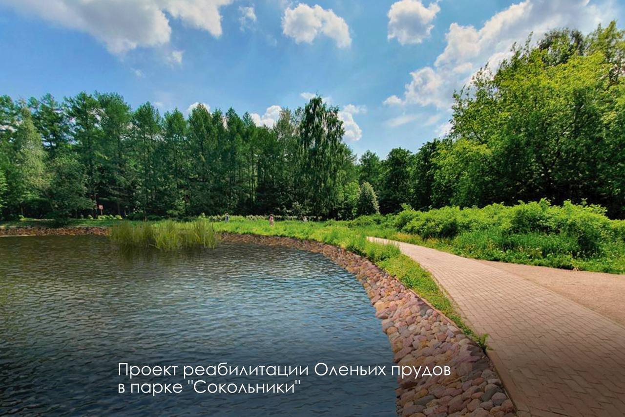 пруд, благоустройство, фото телеграм мэра