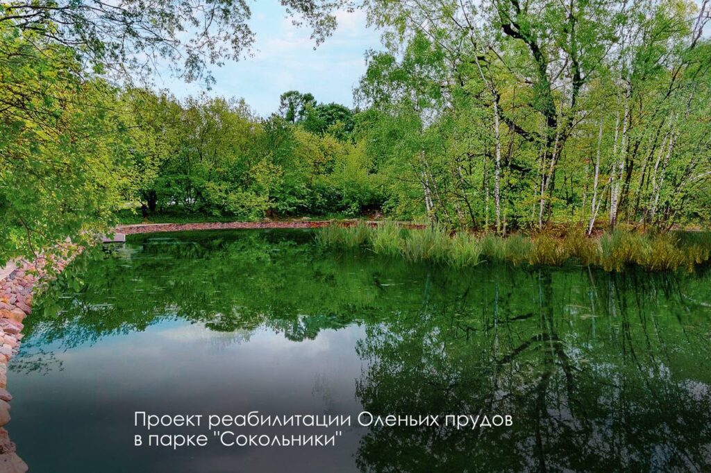 пруд, благоустройство, фото телеграм мэра