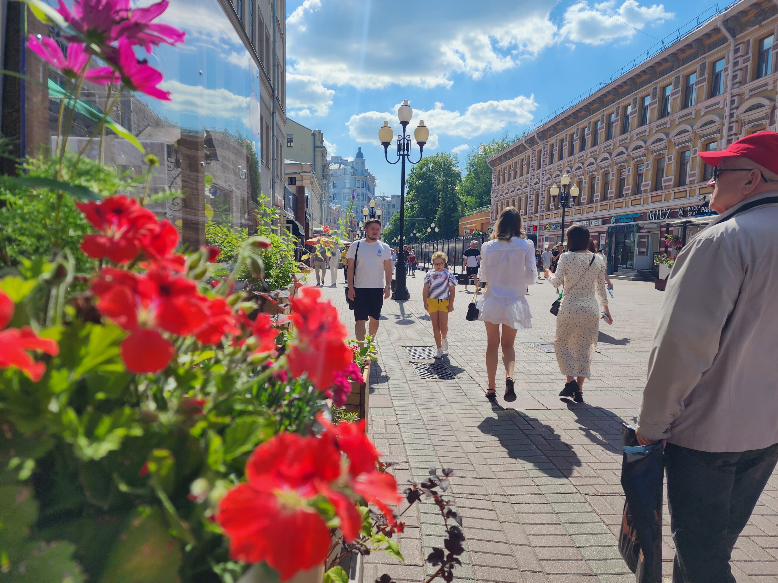 Москва, лето, цветы, фото Юлия Смагринская