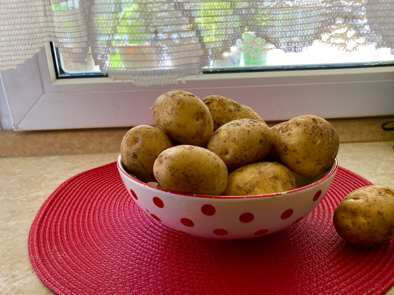 картофель, еда, продукты, овощи, фото Нина Донских
