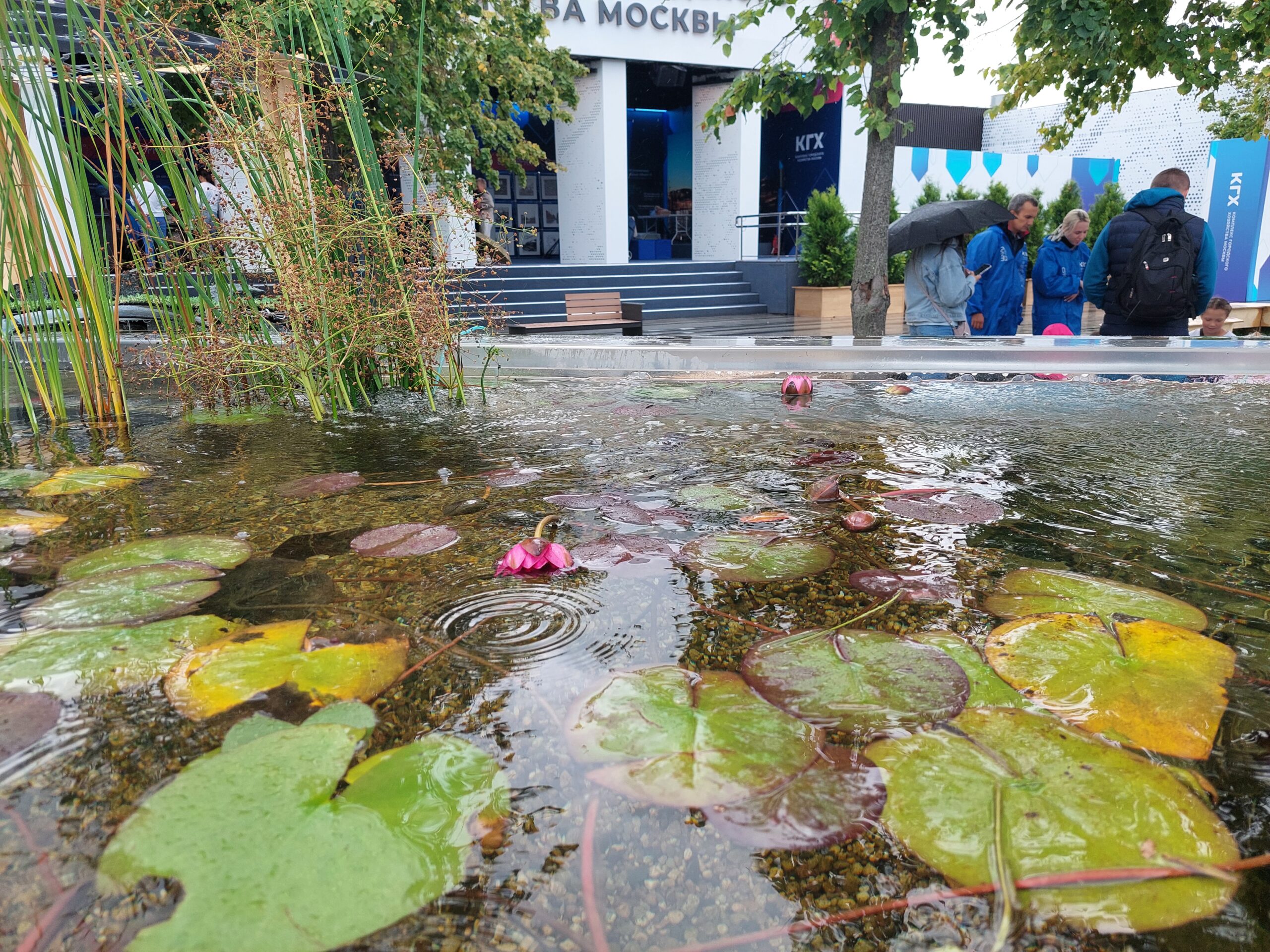 пруд в разрезе, территория будущего, Мосводосток, фото Яна Маевская