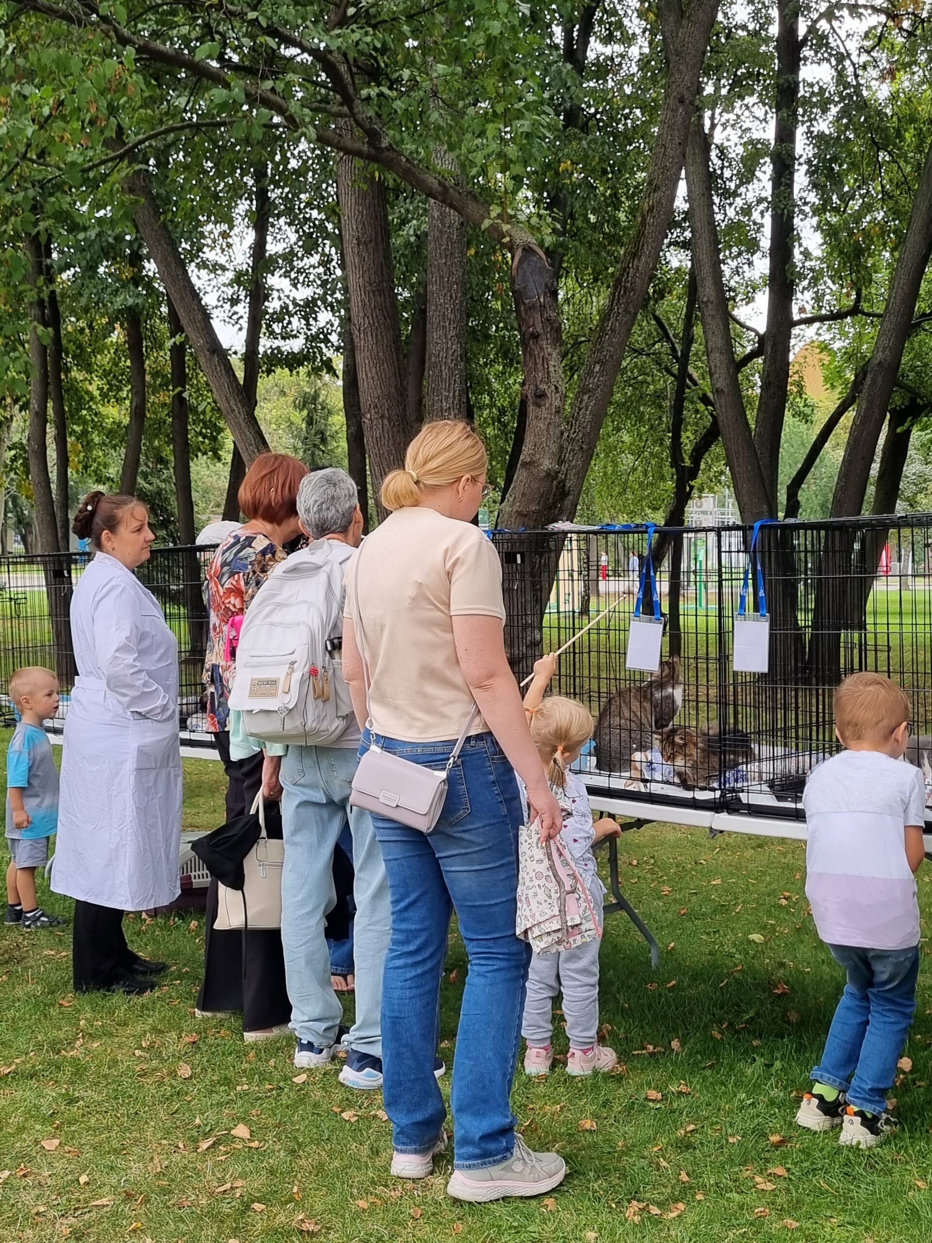 собака, зооприют, выставка-пристройство, фото Лаура Маркарян