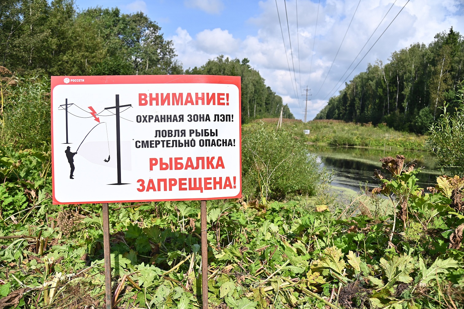не рыбачье у лэп, фото россети 
