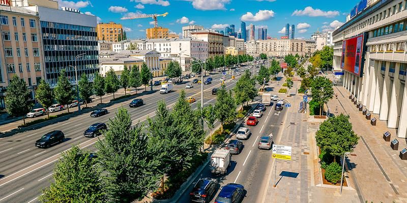 деревья, озеленение, фото мос ру
