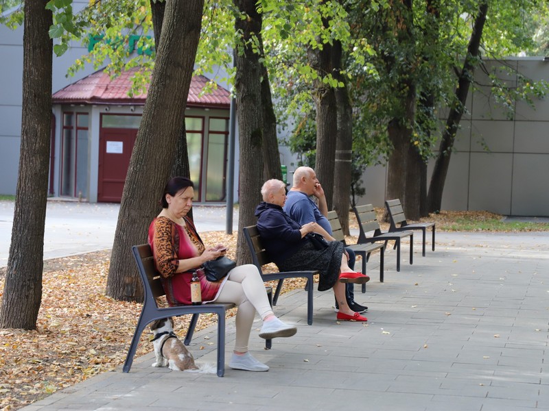 Савеловский парк, лавочка, фото Юлия Смагринская