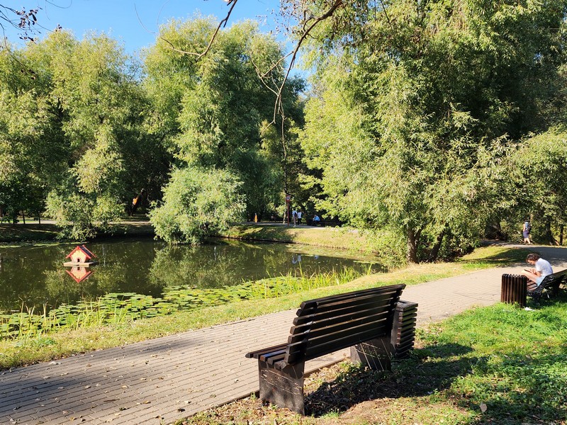 Воронцовский парк, осень, фото Юлия Смагринская