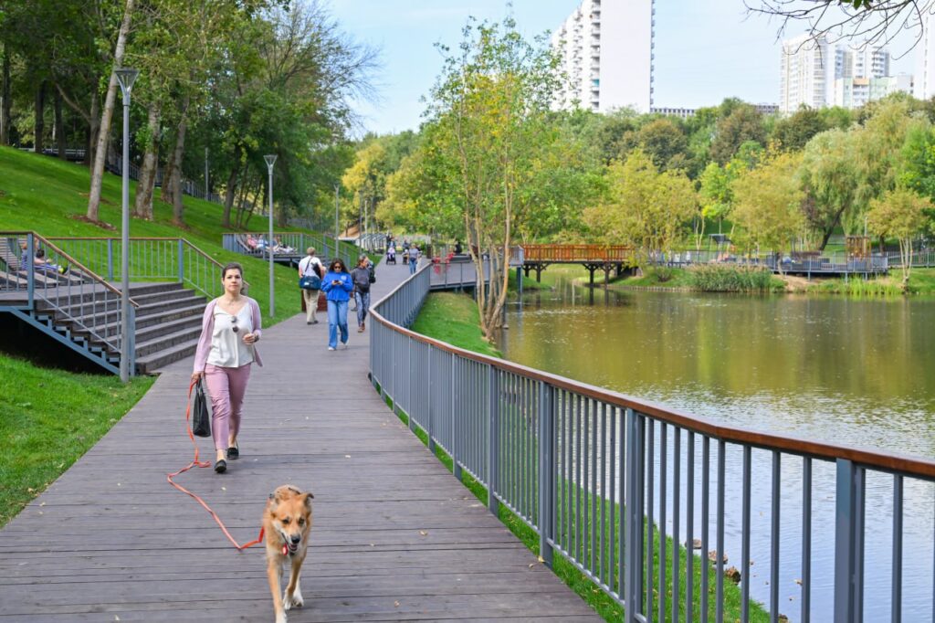 пруд, Чертаново, фото телеграм мэра