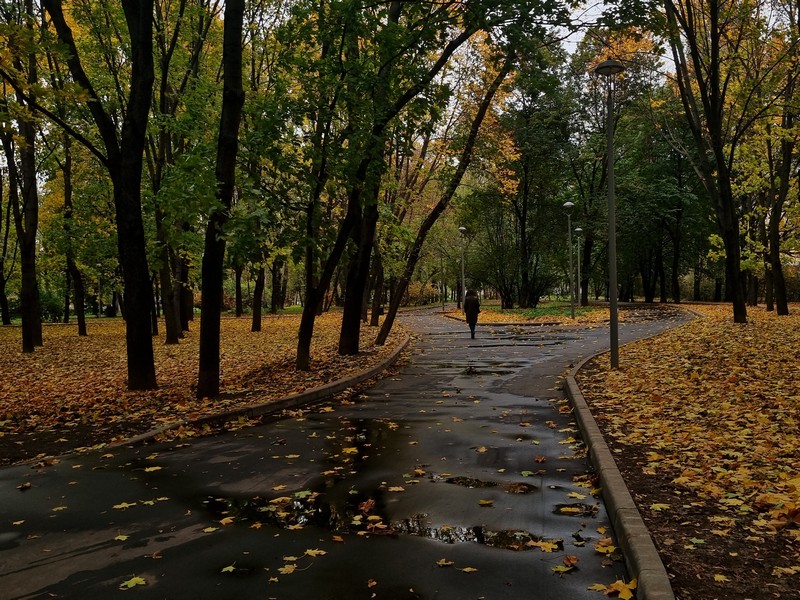 Краснокурсантский сквер, осень, дождь, фото Лаура Маркарян
