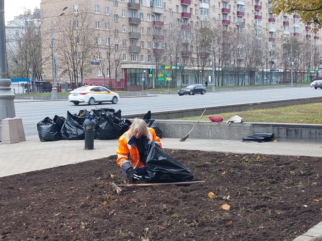 клумба, уборка цветов, подготовка к зиме, фото Яна Маевская