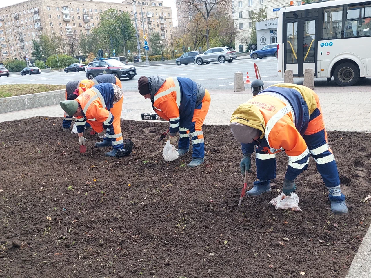 клумба, уборка цветов, подготовка к зиме, фото Яна Маевская