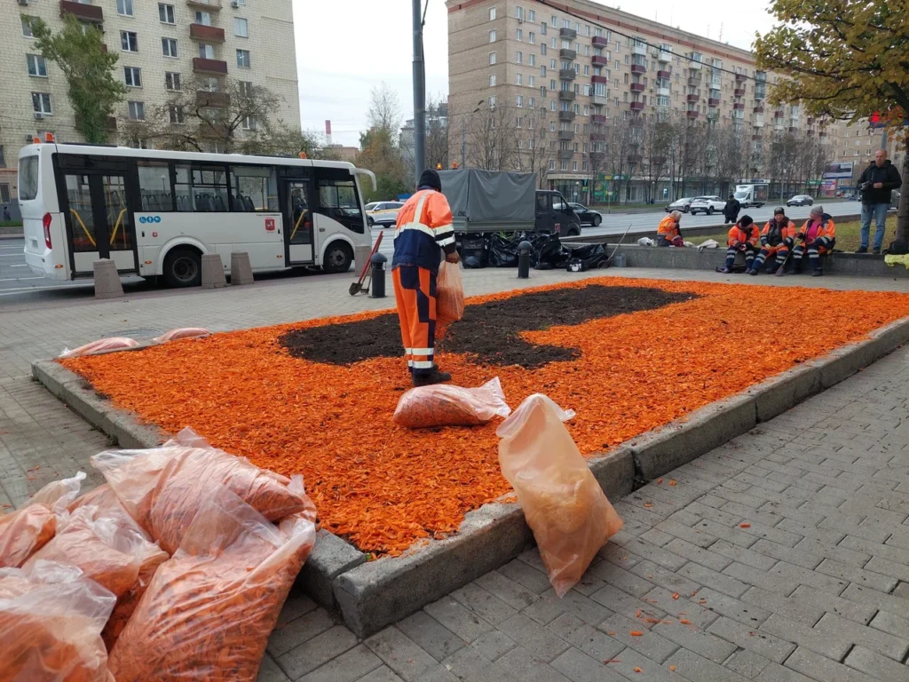 клумба, уборка цветов, подготовка к зиме, фото Яна Маевская