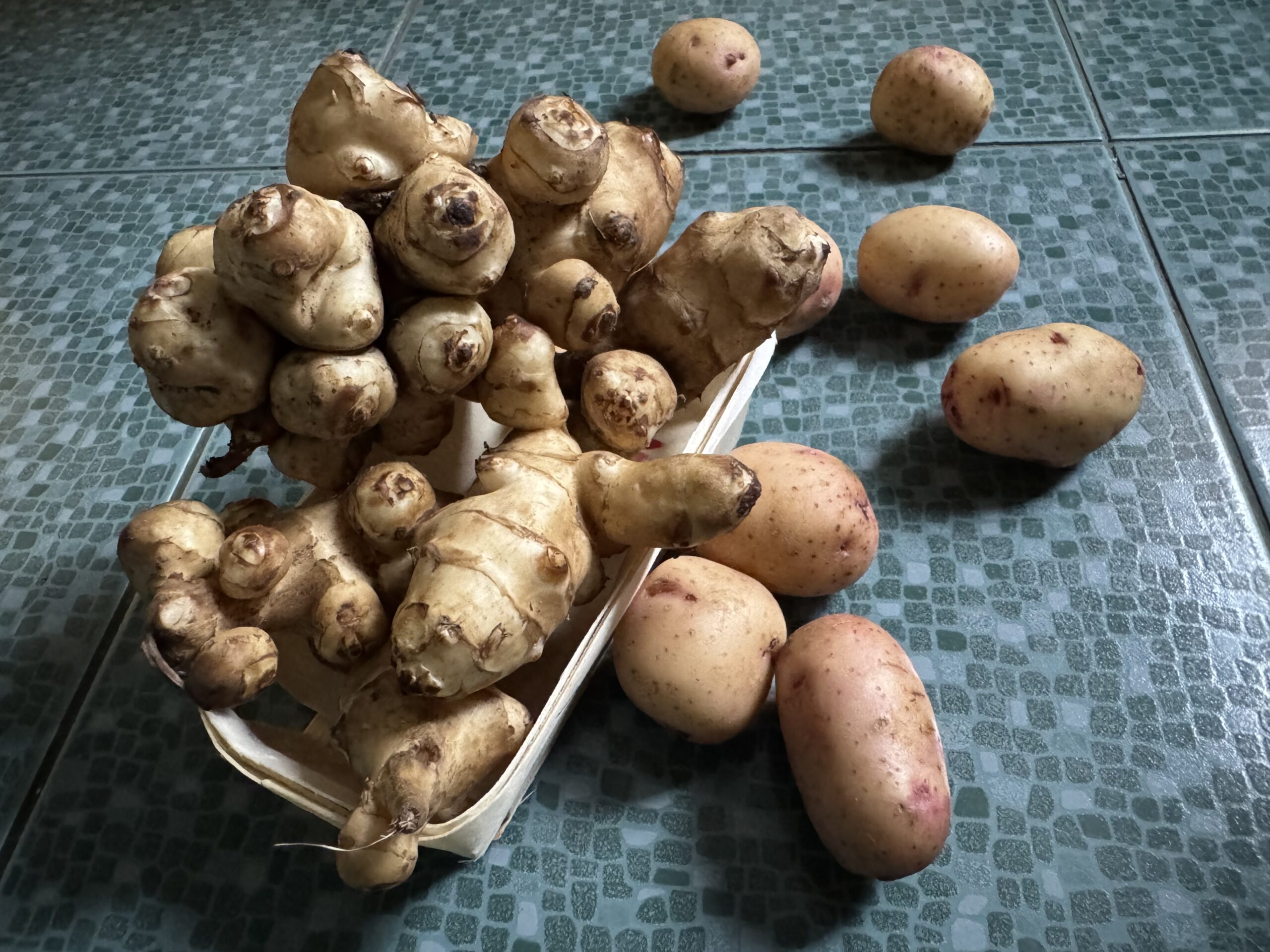 топинамбур, картофель, еда, продукты, фото Наталия Бахарева