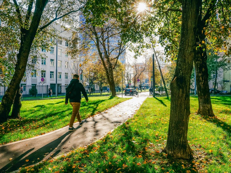 дорожка, благоустройство, осень, фото sobyanin.ru