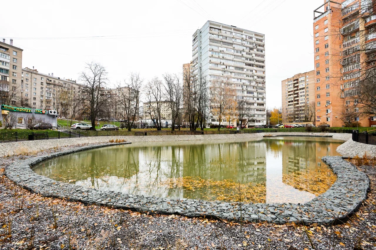Семеновский пруд, благоустройство, фото КГХ