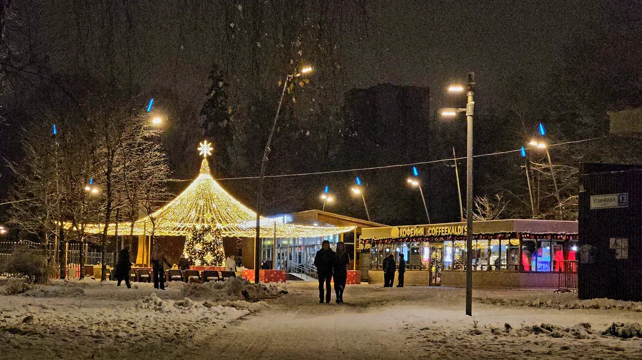 Лианозовский парк, снег, зима, фото Юлии Смагринской