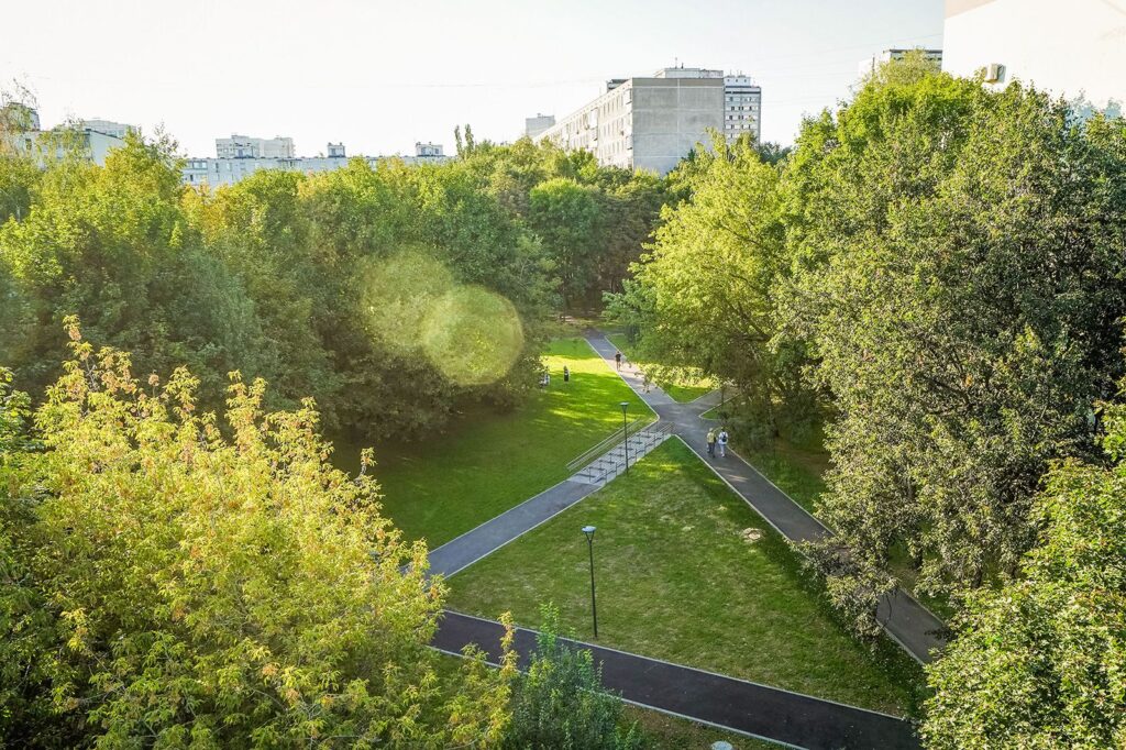 парк, Коньково, фото КГХ