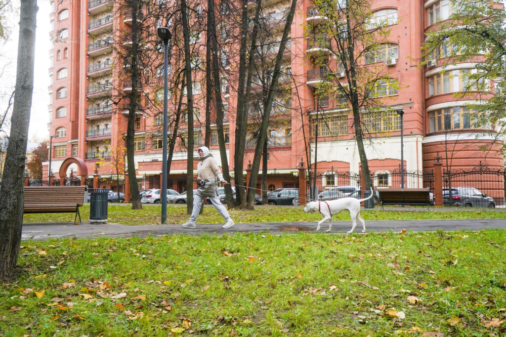 благоустройство, СЗАО, фото sobyanin.ru