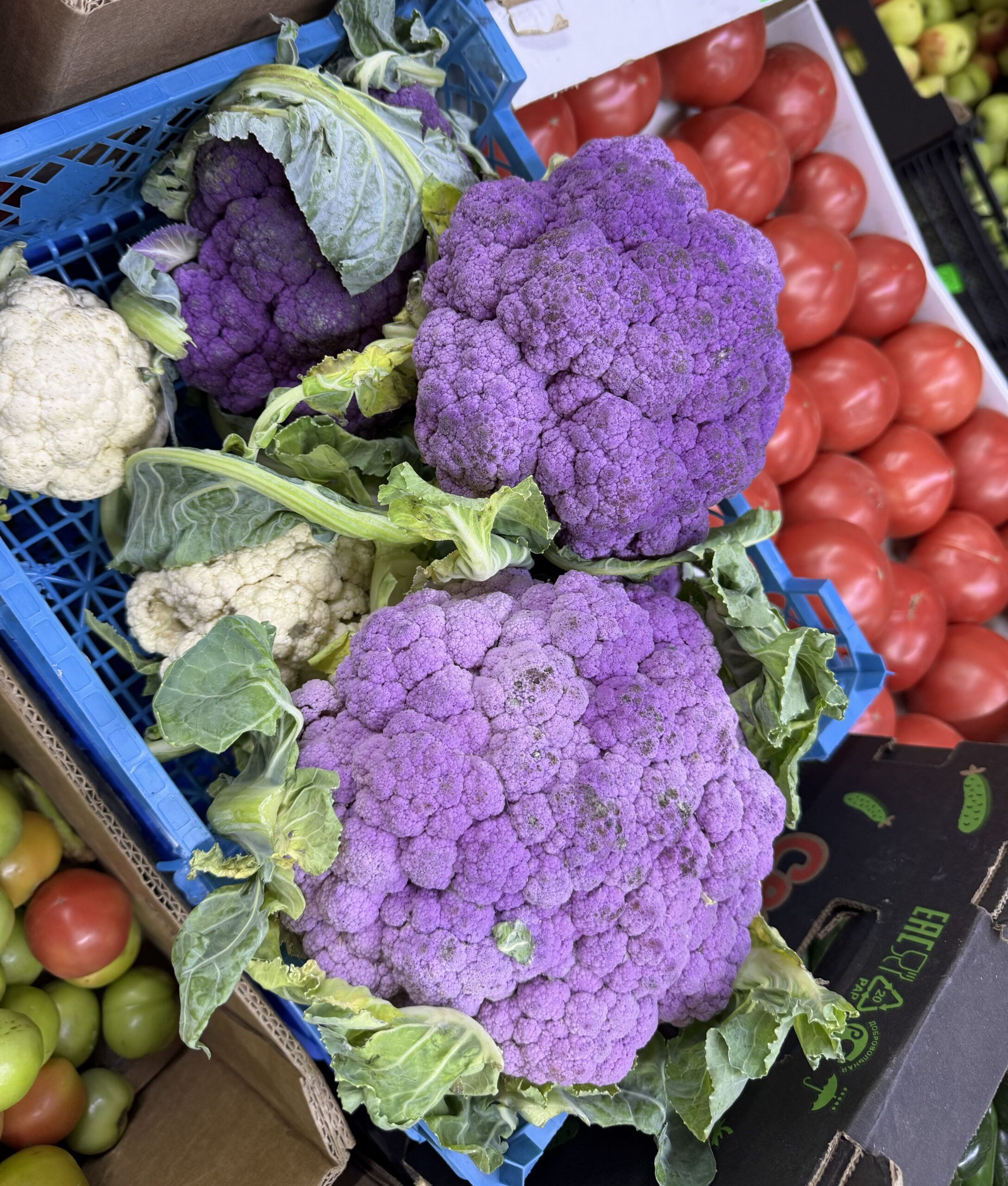 цветная капуста, овощи, еда, продукты, фото Наталия Бахарева