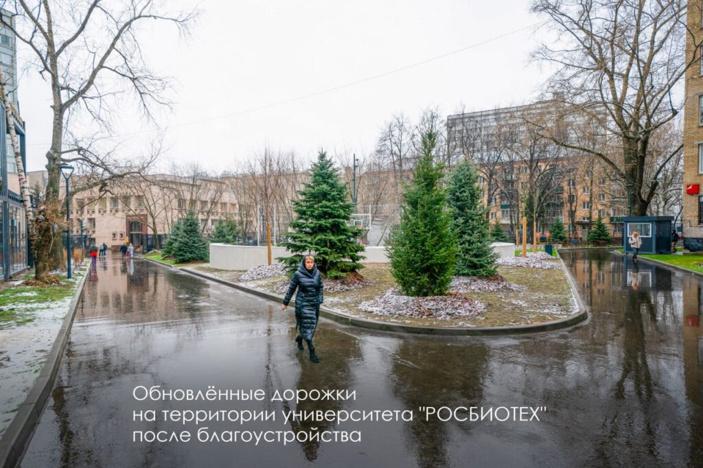 благоустройство, фото телеграм мэра
