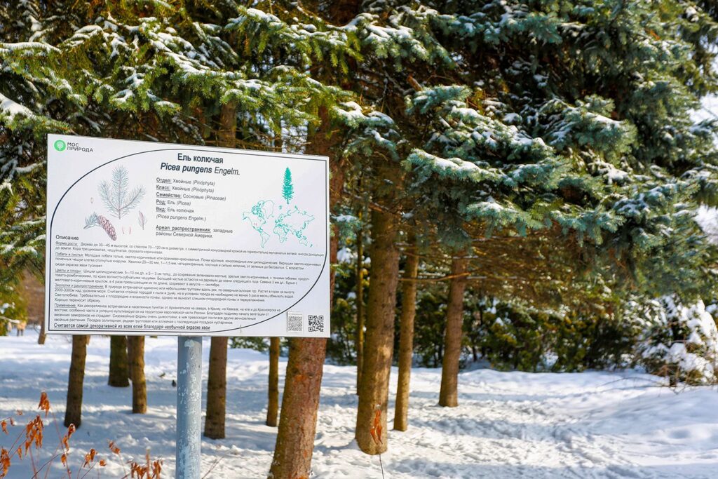 Бирюлёвский дендропарк, фото ДПиООС
