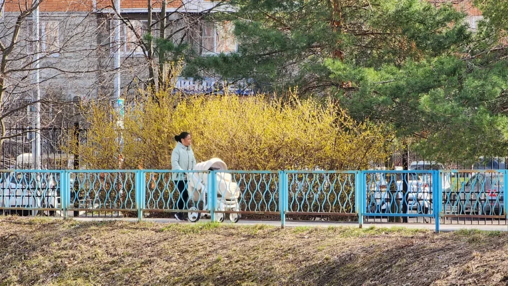 Дюссельдорфский парк, весна, прогулка, фото Юлия Смагринская