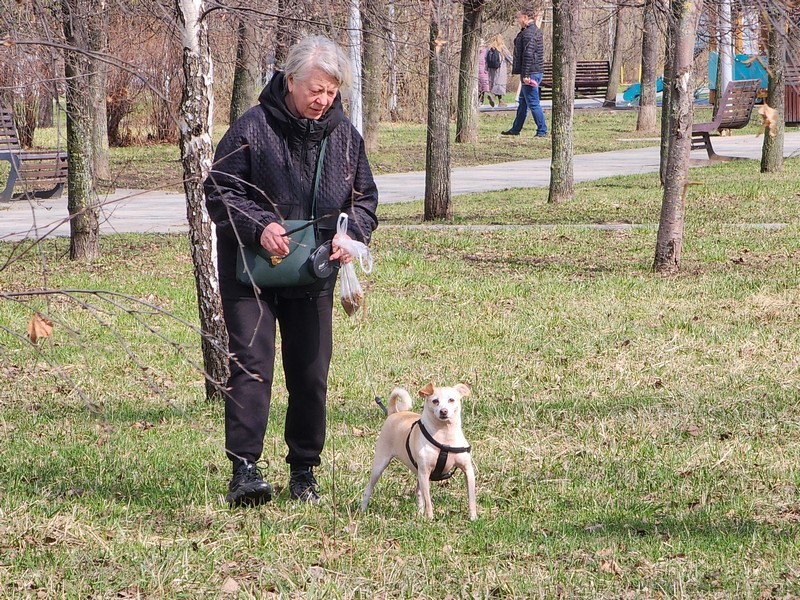 Дюссельдорфский парк, весна, прогулка, собака, фото Юлия Смагринская
