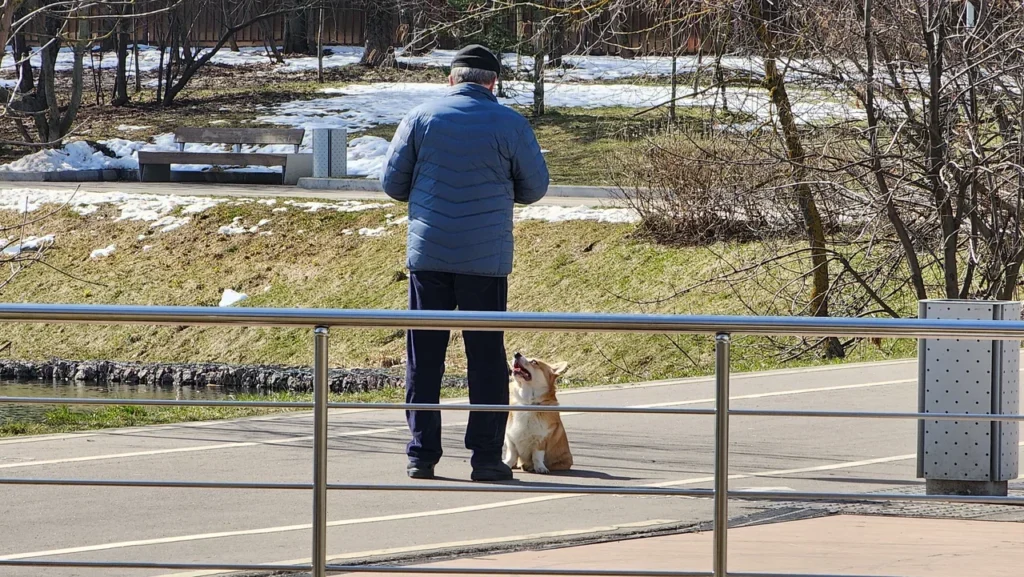 парк Удальцовские пруды, весна, прогулка, собака, фото Юлия Смагринская