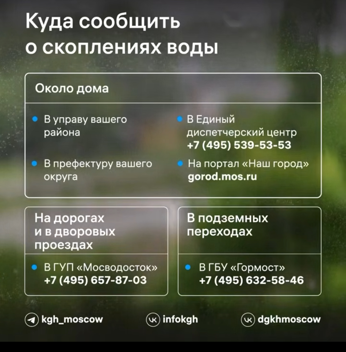 инфографика кгх