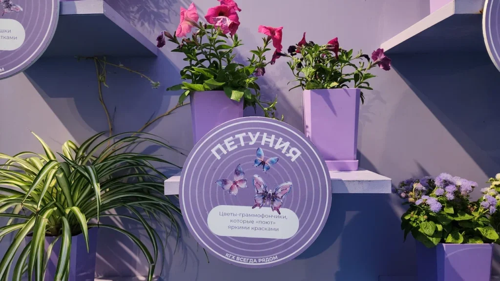 фестиваль территория будущего, гбу озеленение, цветы, фото Юлия Смагринская