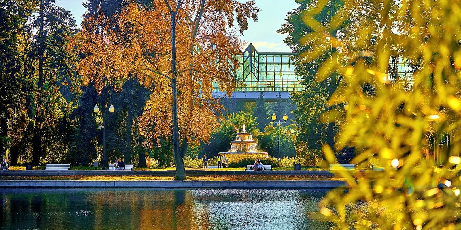 парк, осень, фото mos.ru