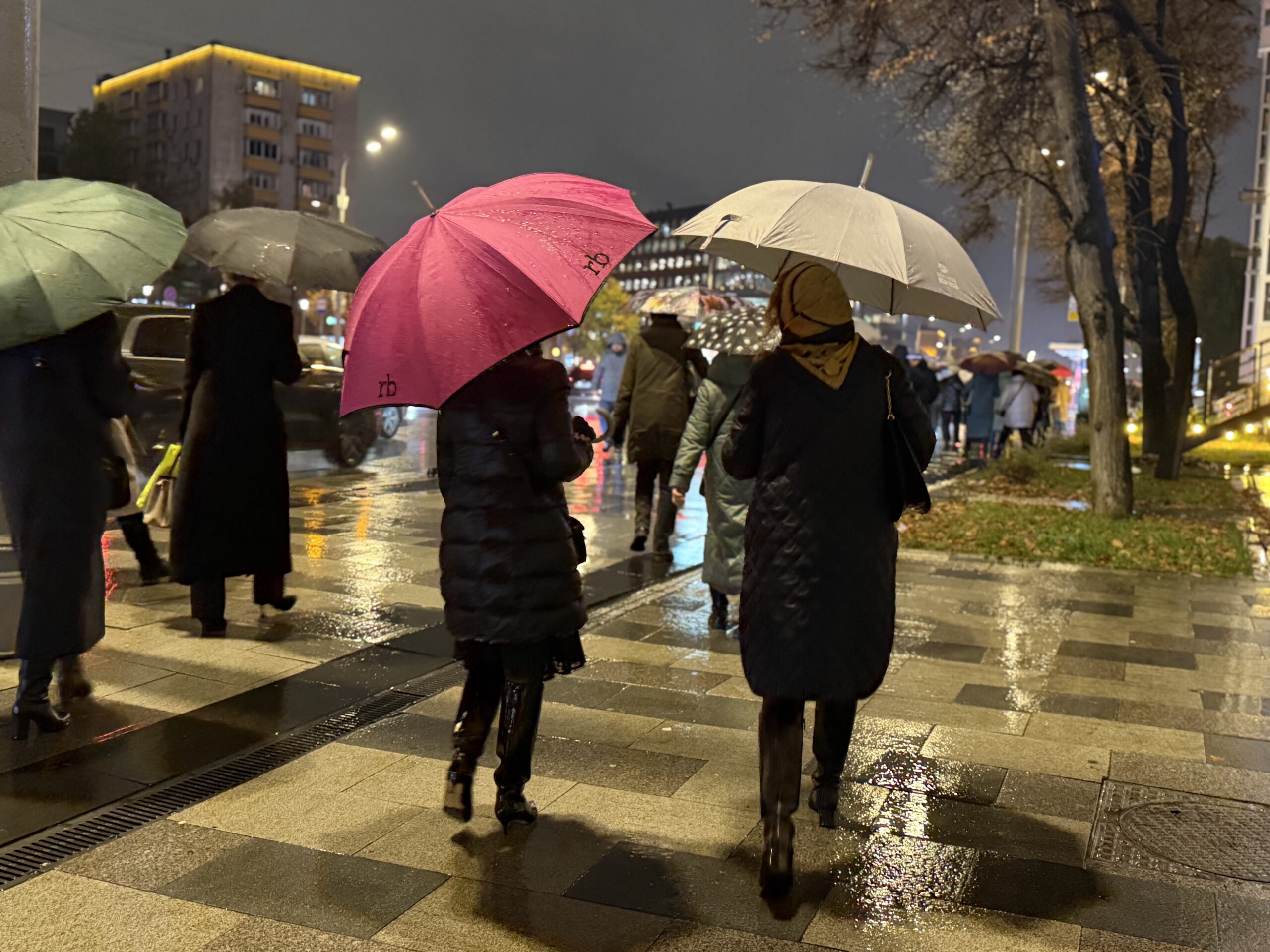 дождь, зонт, фото Наталия Бахарева