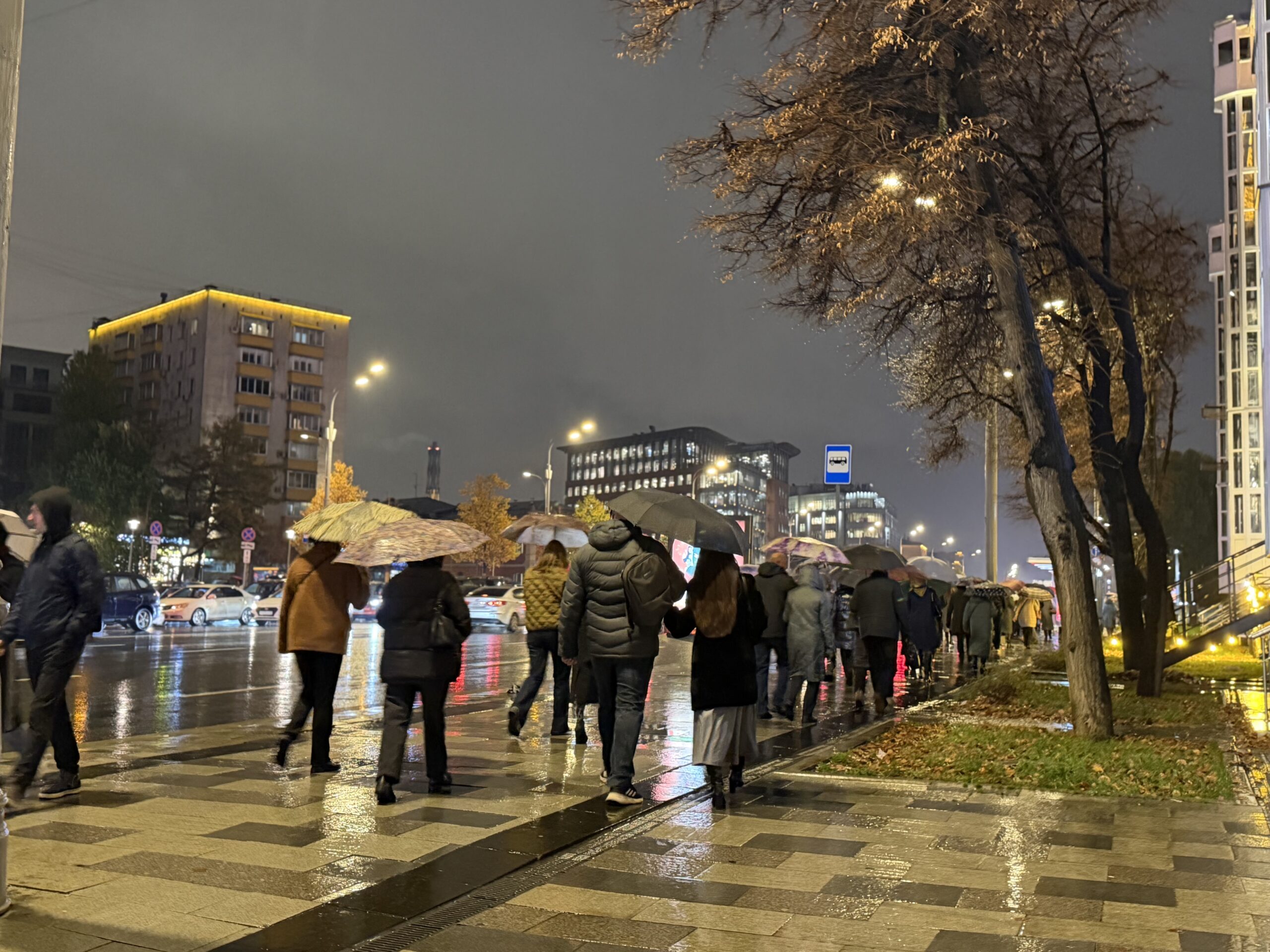 дождь, зонт, фото Наталия Бахарева