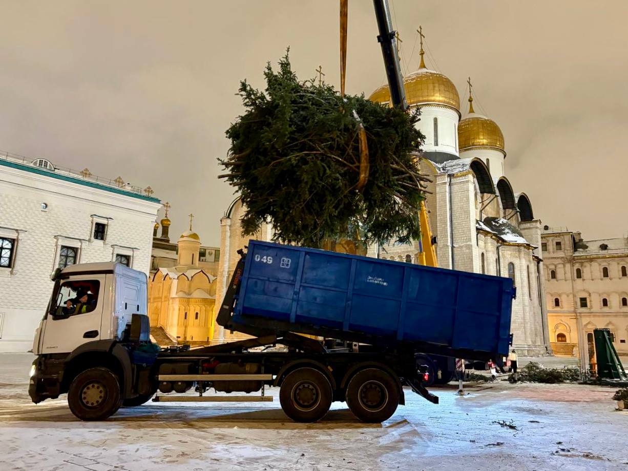 главная елка, переработка, фото Эколайн