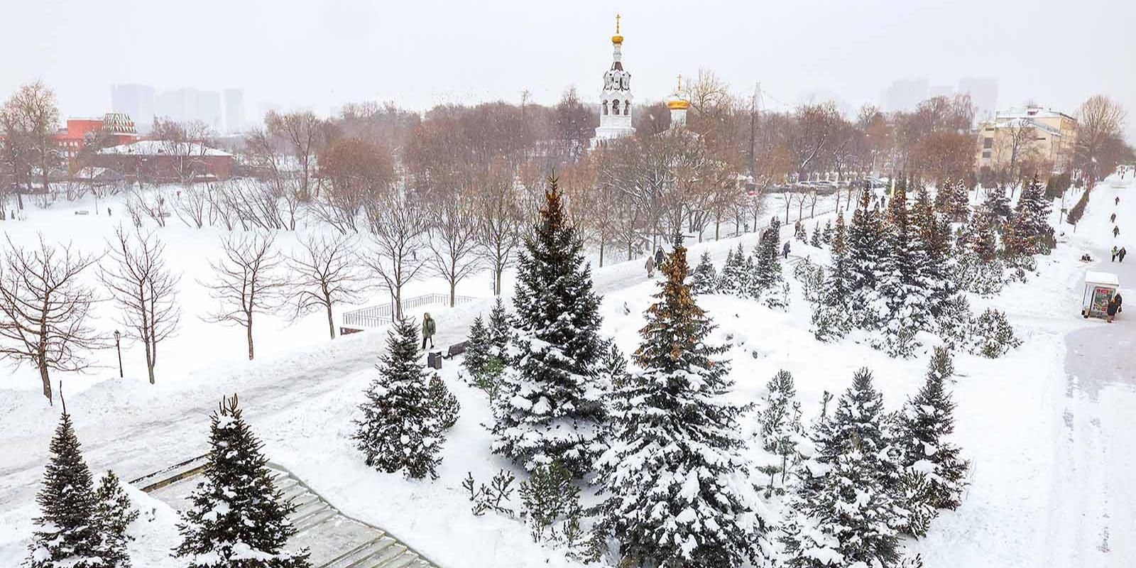 озеленение, фото mos.ru