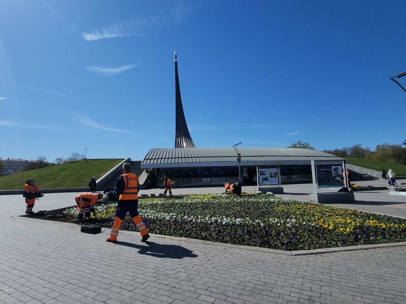 высадка цветов, виола, ВДНХ, аллея Космонавтов, фото Юлия Смагринская