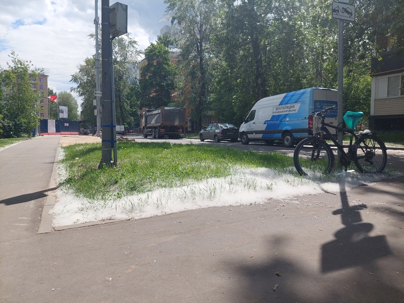 тополиный пух, фото Яна Маевская