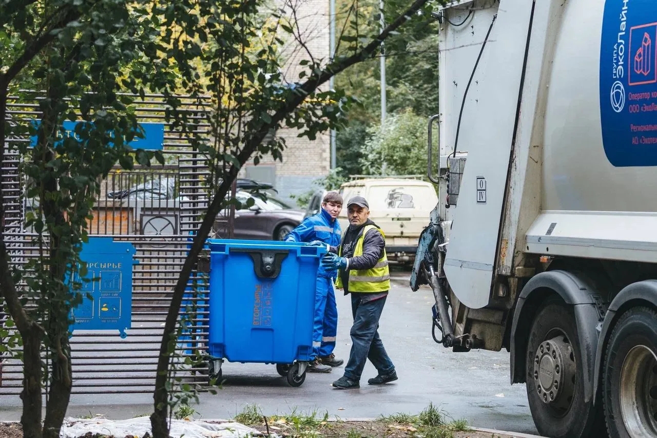 контейнер, мусор, фото Эколайн