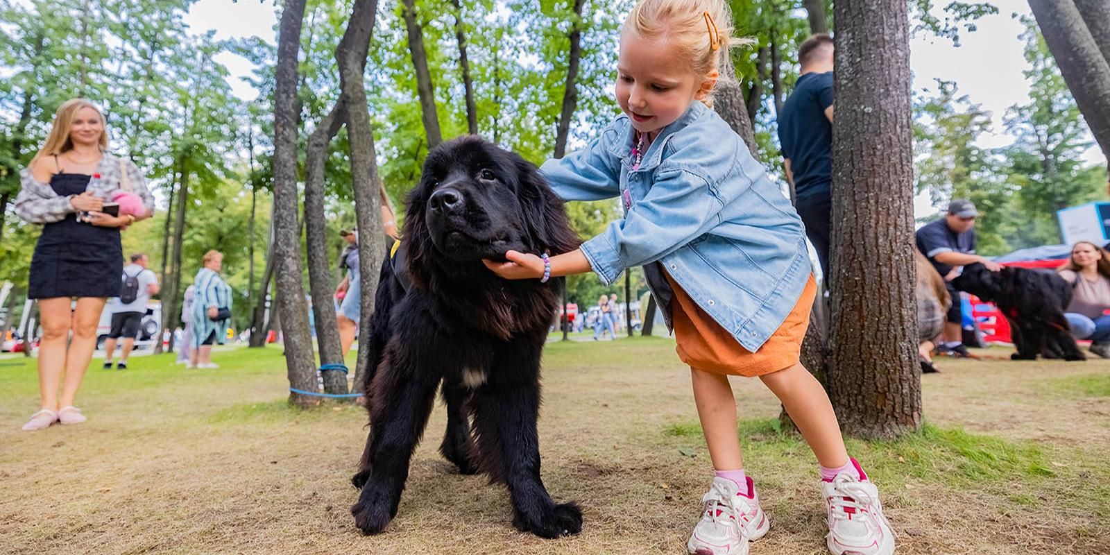 собака, фото mos.ru