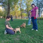 Почему на природных территориях Москвы собаку лучше не спускать с поводка