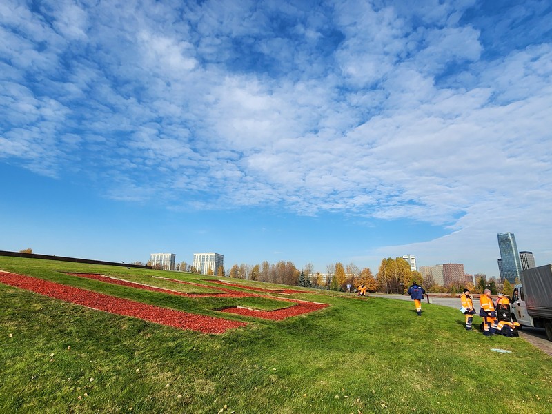 Поклонная гора, клумбы, цветы, тюльпаны, фото Юлия Смагринская