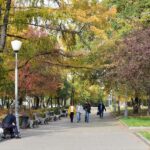 В сквере за музеем-панорамой «Бородинская битва» — золотая осень
