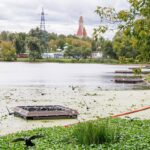 Вода не будет цвести: на водоемах работают биомодули