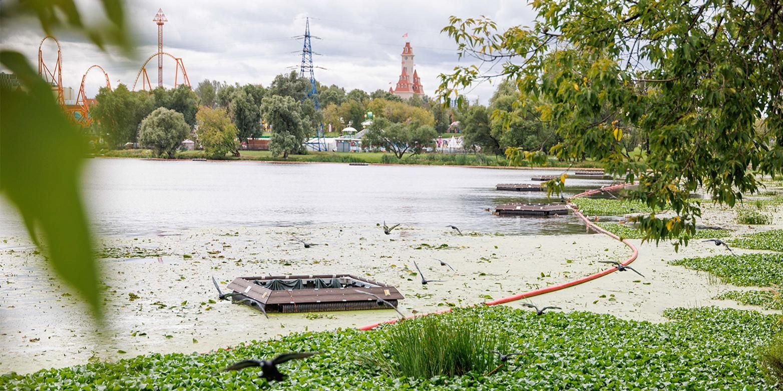 плавучие модули, водоросли, река, фото ДПиООС